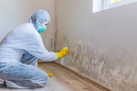 Why You Should Choose Our Mold Remediation Services in Big Timber, MT